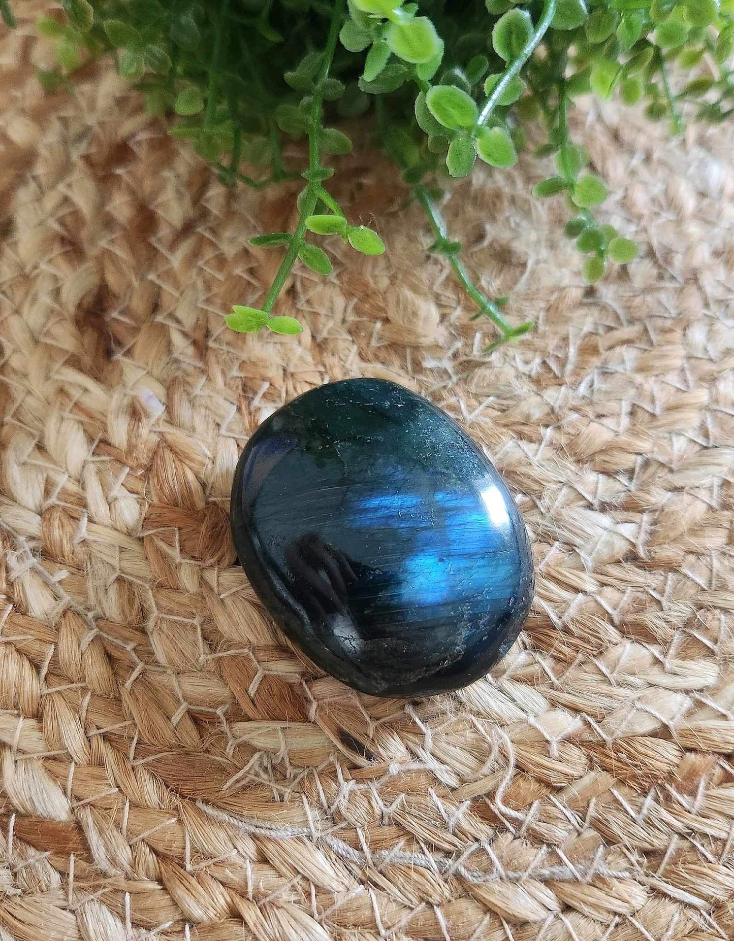 Pierre de paume en Labradorite