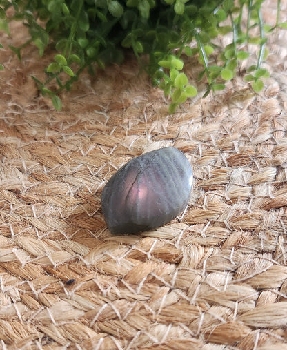 Freeform en Labradortie avec flash mauve/orange