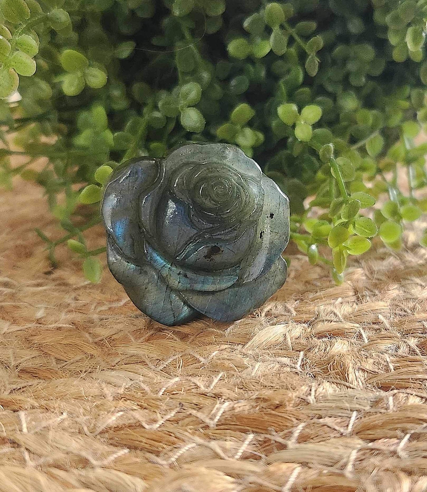 Rose en Labradorite