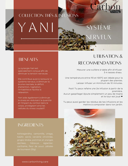 Tisane Yani - Système nerveux