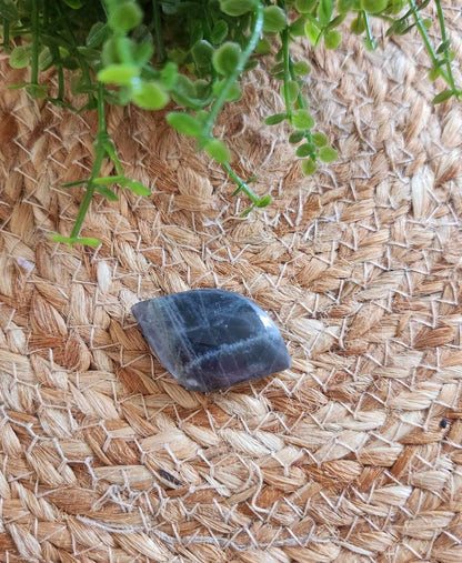 Freeform en Labradortie avec flash mauve/orange