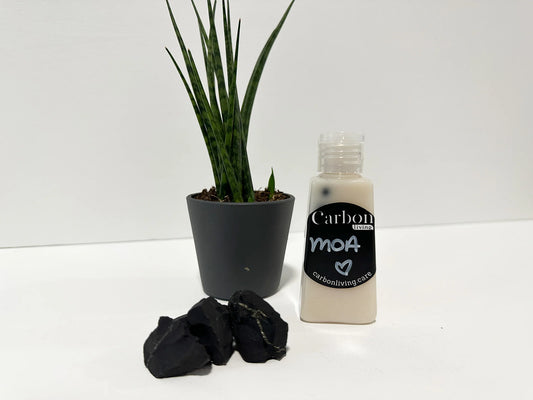 Micro Exfoliant Moa