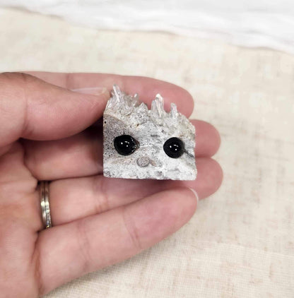 Buddy en Quartz clair