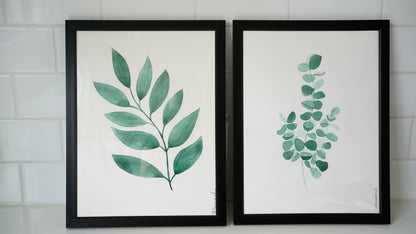 Oeuvre imprimée - Aquarelle Eucalyptus