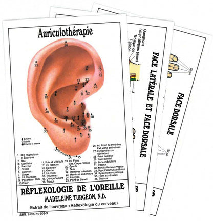 Mini affiche Réflexiologie