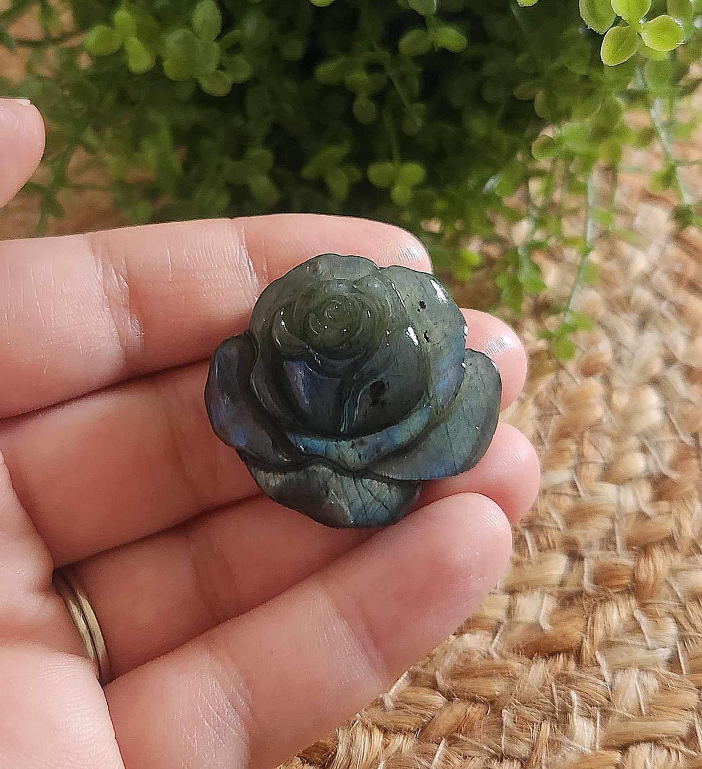 Rose en Labradorite