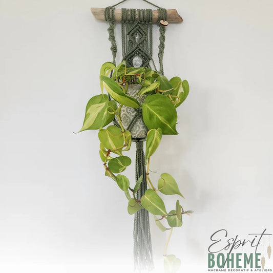 Jardinière murale et Capteur de lumière - Sünna