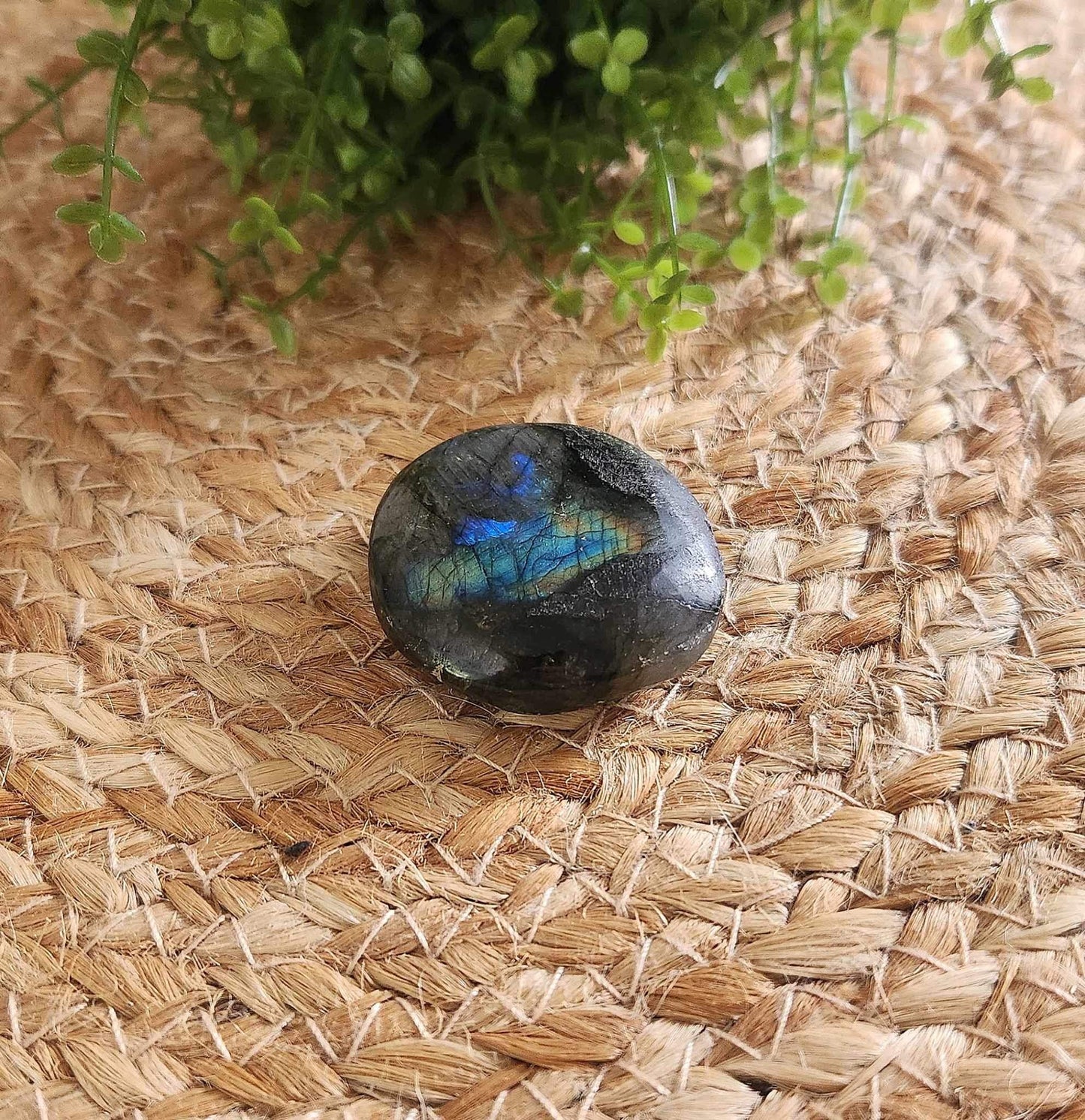 Pierre de paume en Labradorite