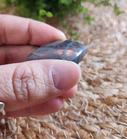 Freeform en Labradortie avec flash mauve/orange