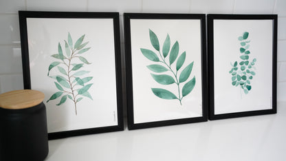 Oeuvre imprimée - Aquarelle Eucalyptus
