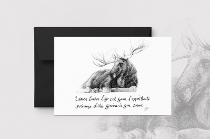 Carte de souhaits - L'Orignal et Laisser tomber l'égo