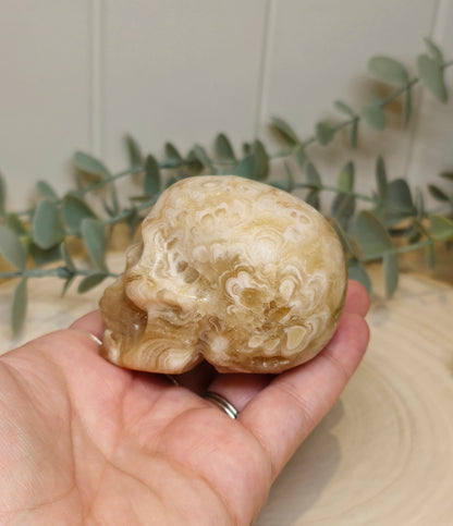 Crâne Agate Fleur ambrée