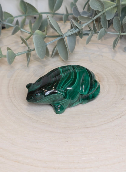 Grenouille en Malachite *réparée*