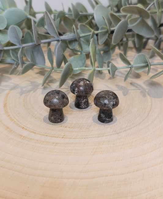 Champignon en Yooperlite