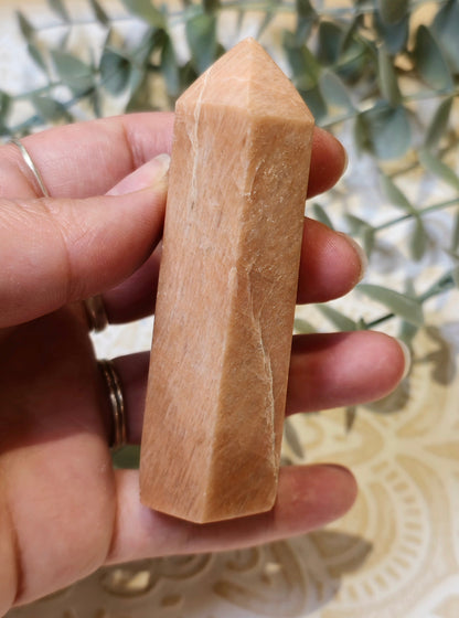 Pointe en Pierre de lune pêche