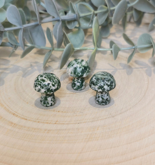 Champignon en Jaspe Green dots
