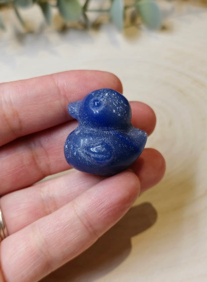 Canard Aventurine bleue