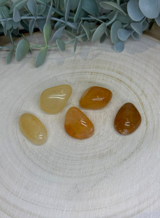 Golden Healer barattée