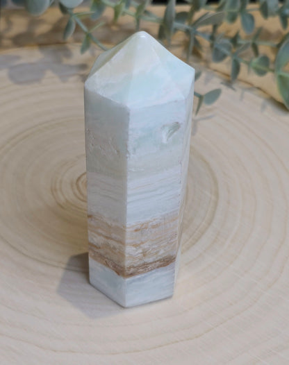 Pointe en Calcite des Caraïbes