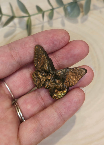 Papillon Crâne Labradorite orangée