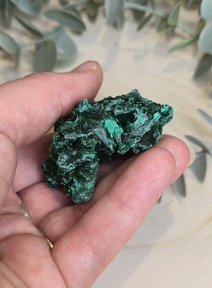 Malachite velour brute de l'Afrique