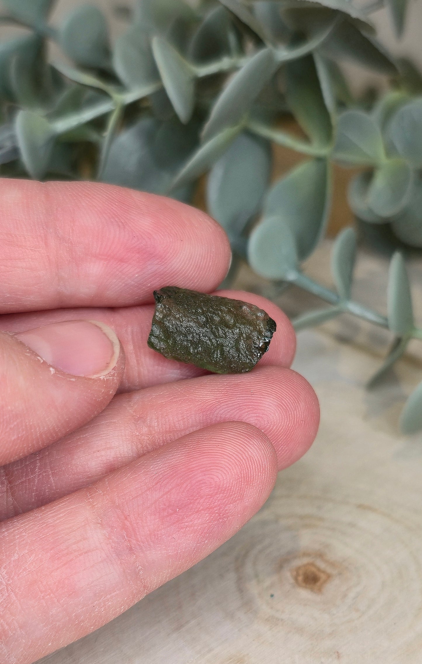 Moldavite brute
