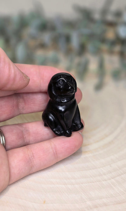 Chien en Obsidienne