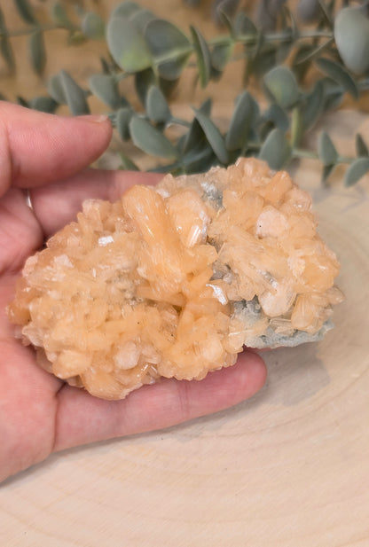 Stilbite brute d’Inde