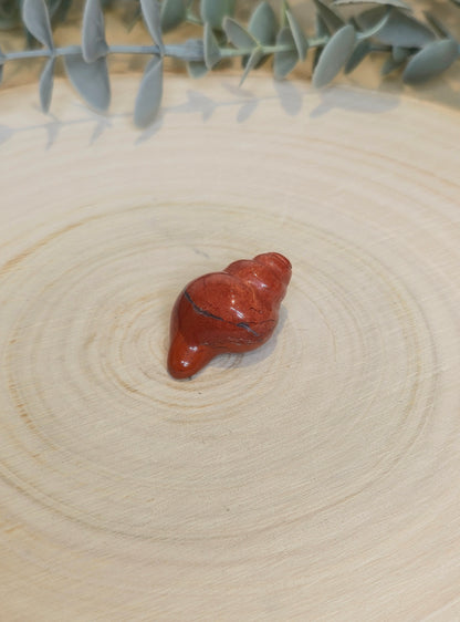 Coquillage Jaspe Rouge