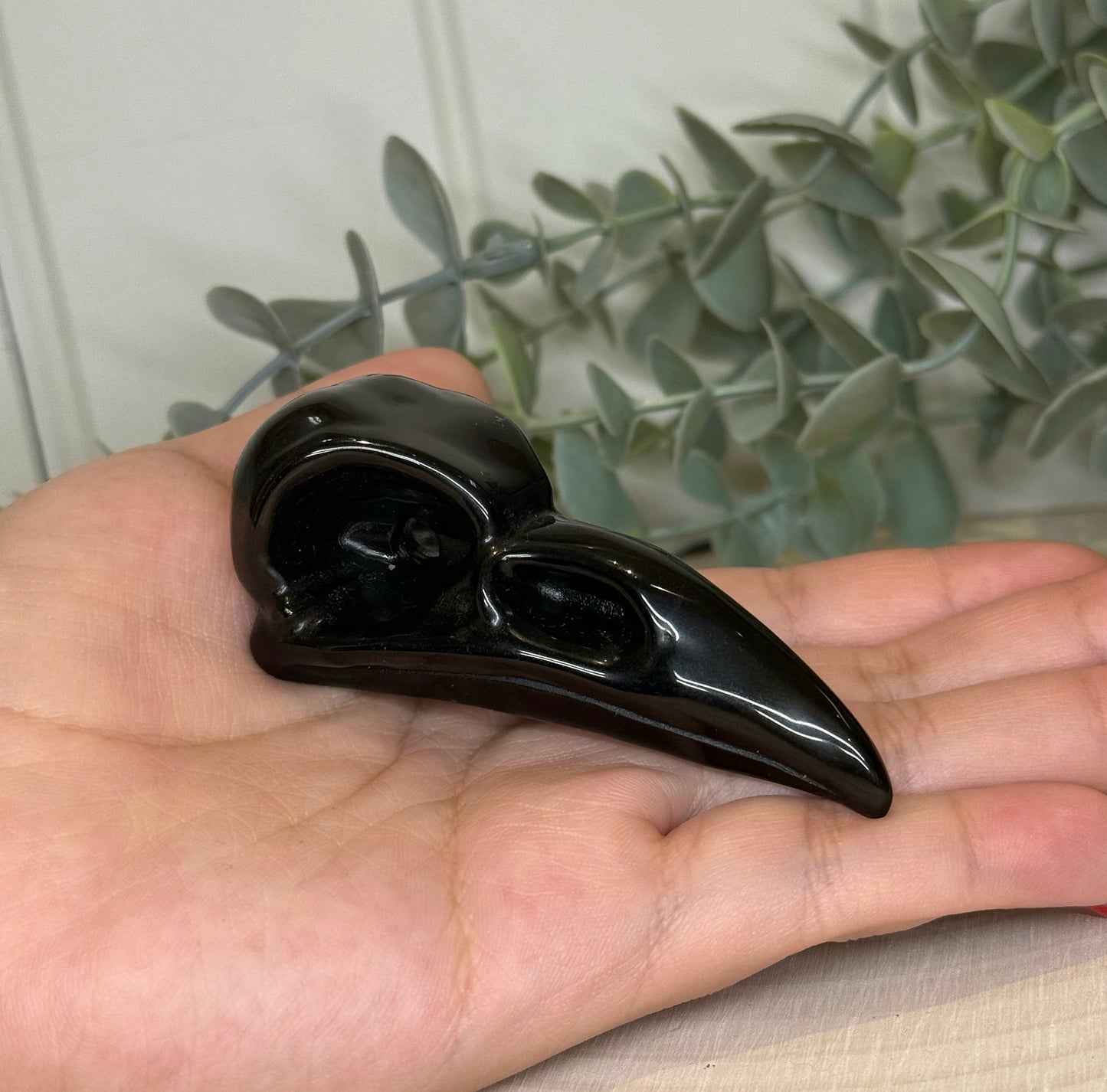 Crâne de corbeau en Obsidienne