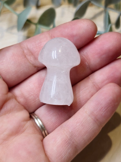 Champignon Quartz clair