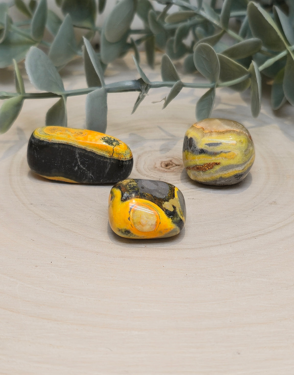 Jaspe Bumblebee barattée