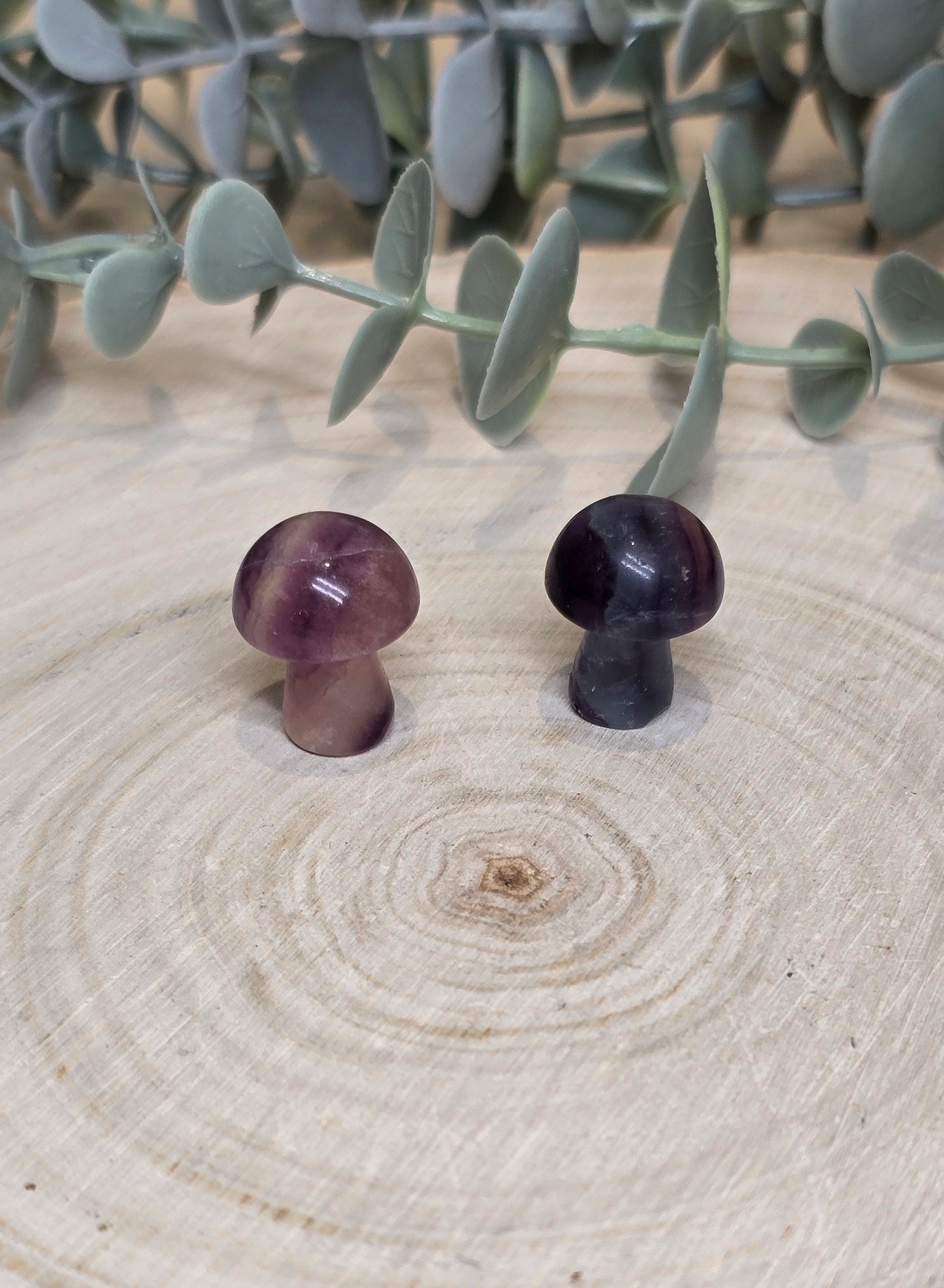 Champignon en Fluorite