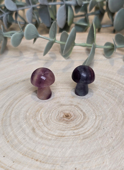 Champignon en Fluorite