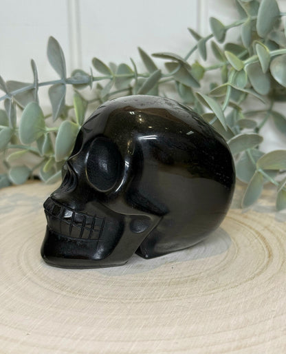 Crâne Obsidienne