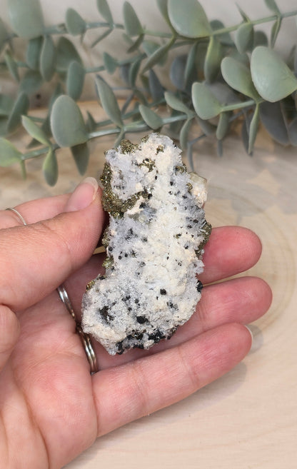Pyrite dans Quartz brute