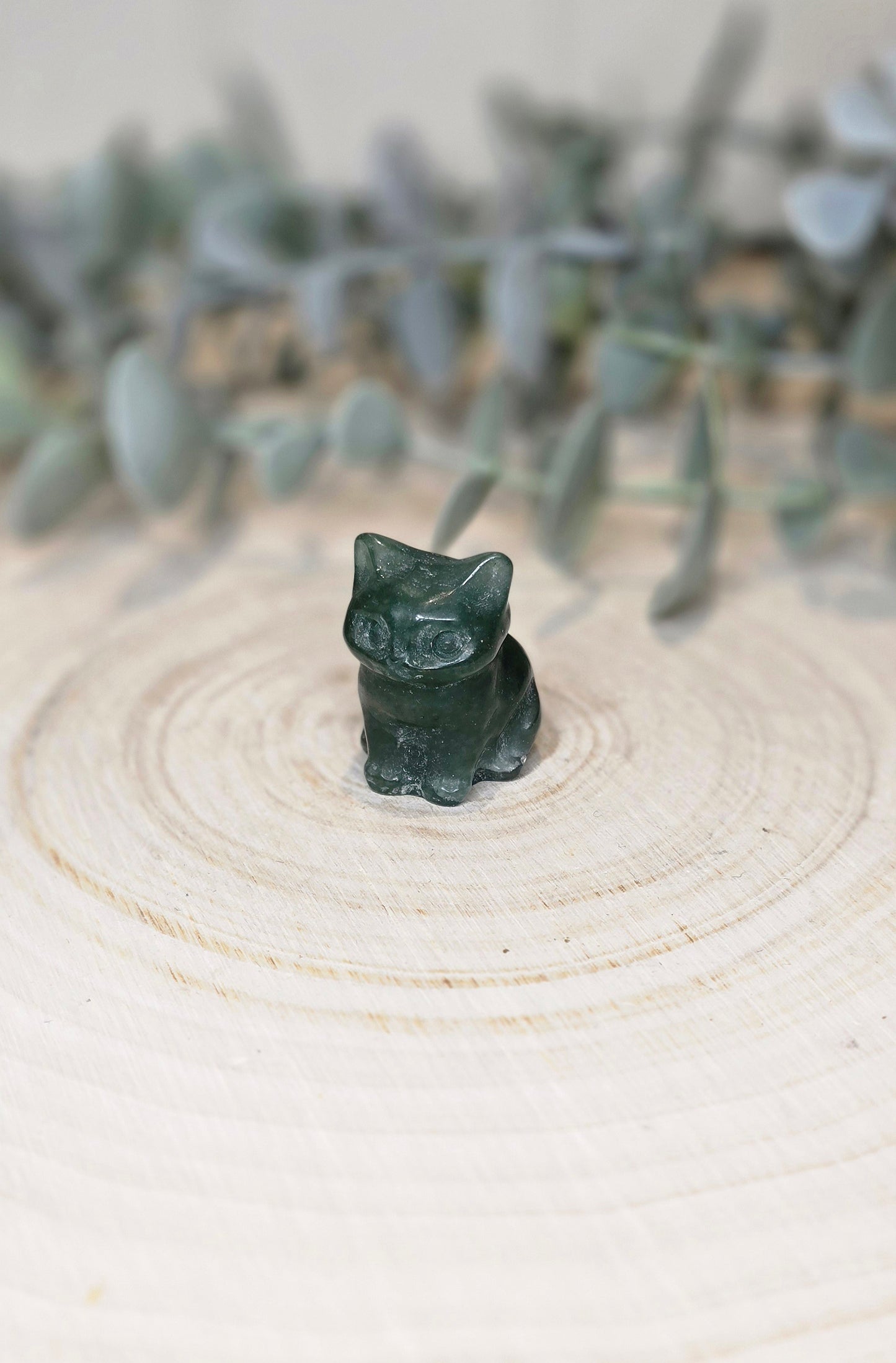 Chat en Aventurine verte