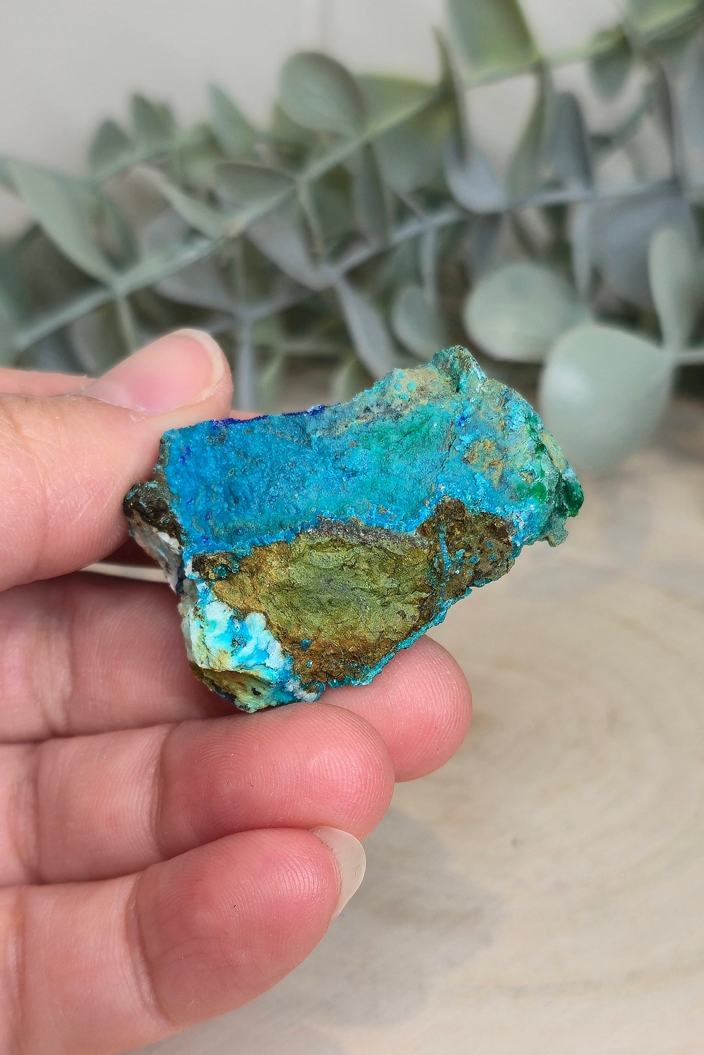 Azurite Malachite Chrysocolle brute