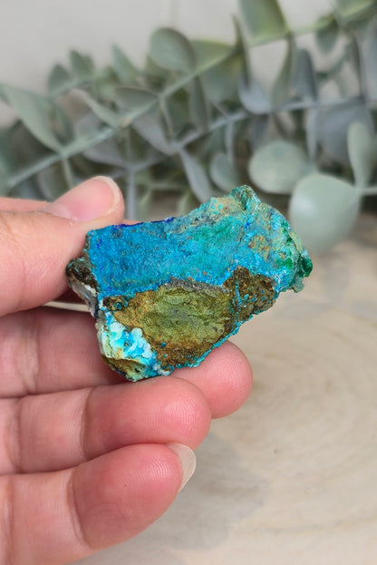 Azurite Malachite Chrysocolle brute
