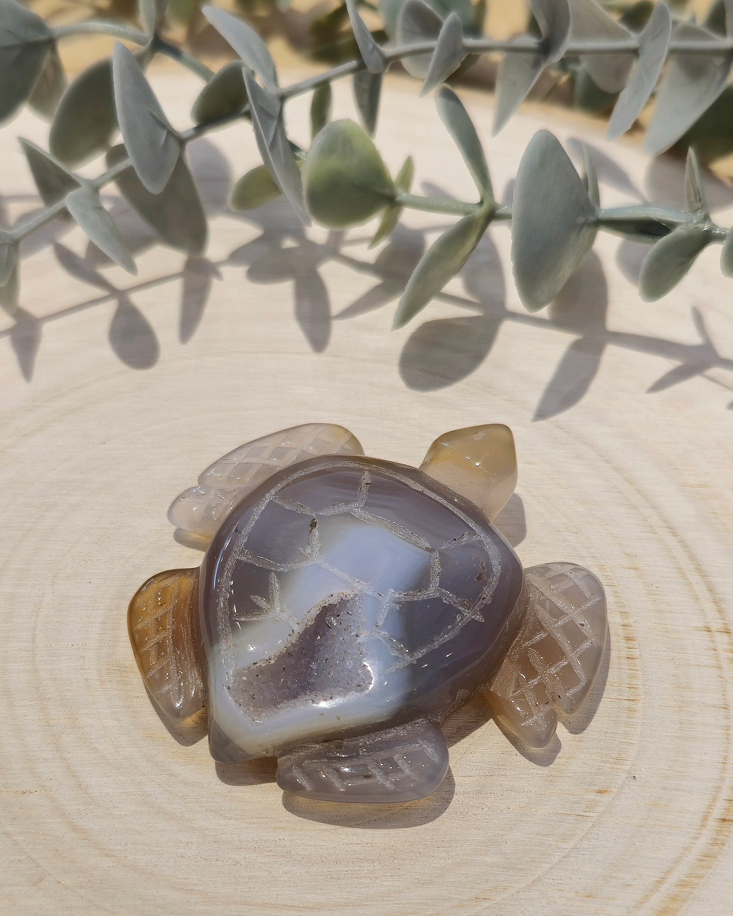 Tortue de mer Agate druzy