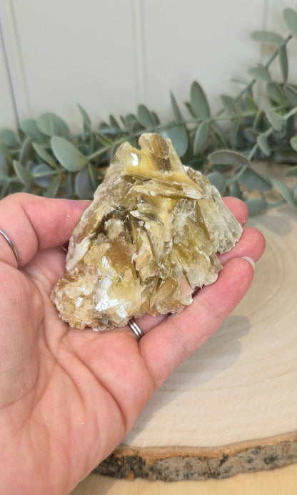 Muscovite du Brésil