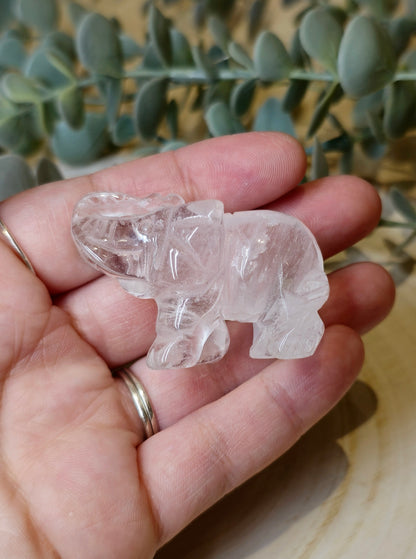 Éléphant Quartz clair