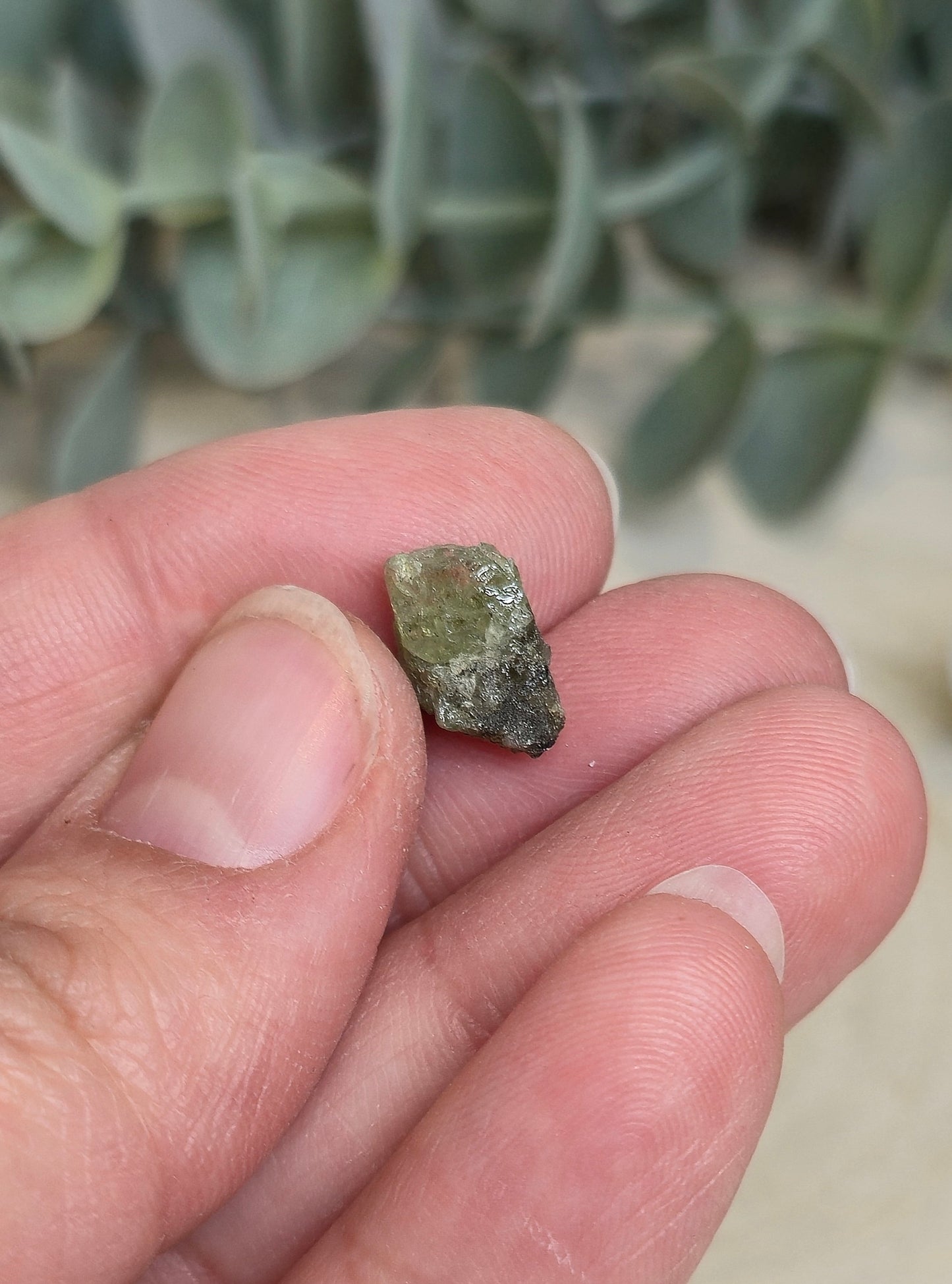 Tsavorite brute