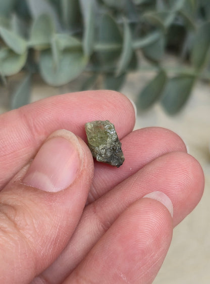 Tsavorite brute