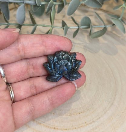 Lotus en Labradorite
