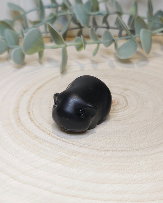 Hamster Obsidienne