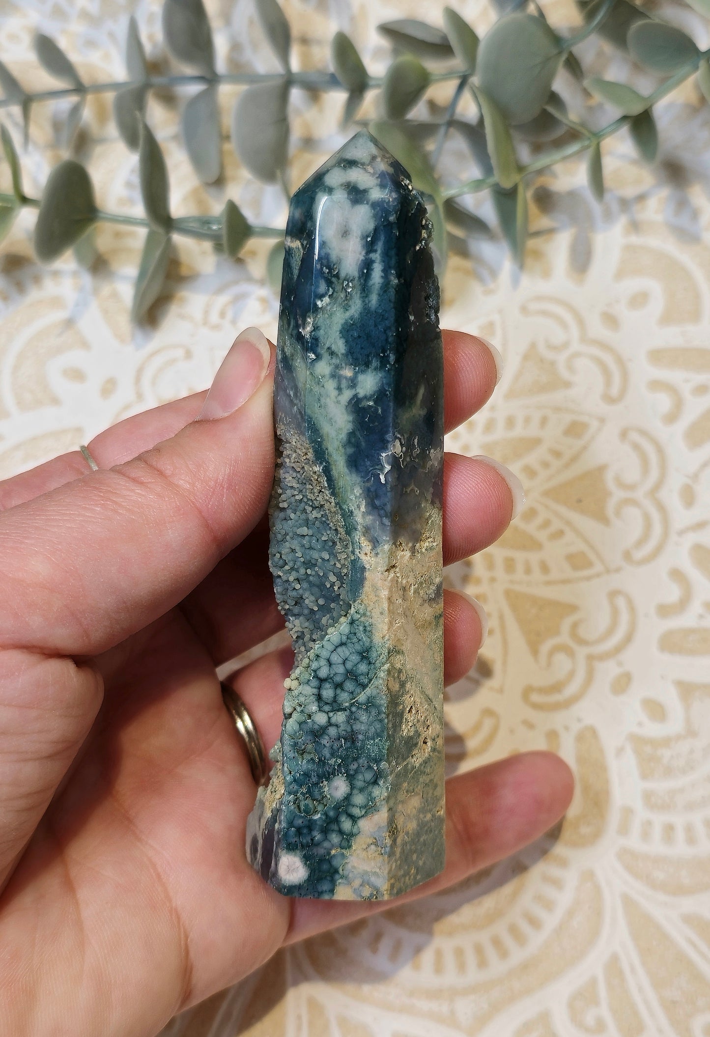 Pointe Agate raisin