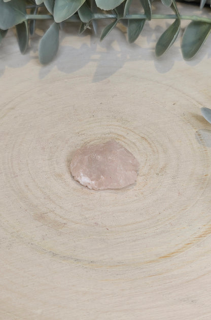 Quartz Nirvana brute