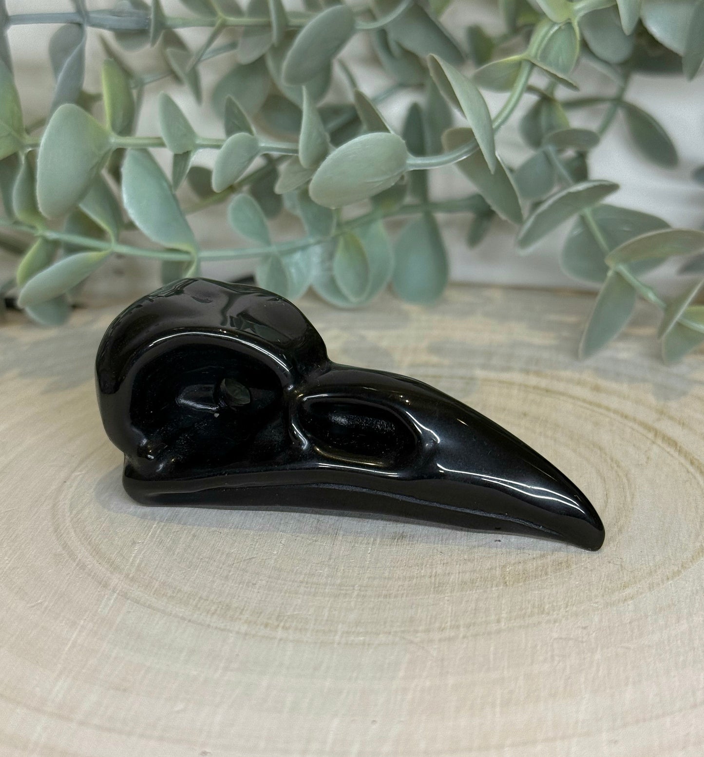 Crâne de corbeau en Obsidienne