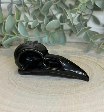 Crâne de corbeau en Obsidienne
